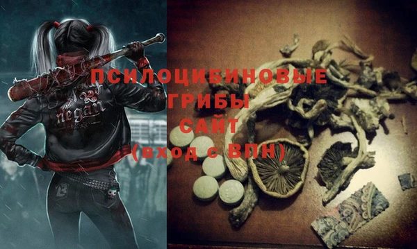 PSILOCYBIN Алексин