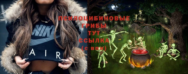 spice Алзамай