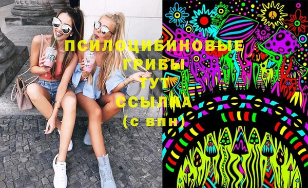 spice Алзамай