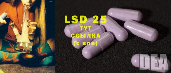 spice Алзамай