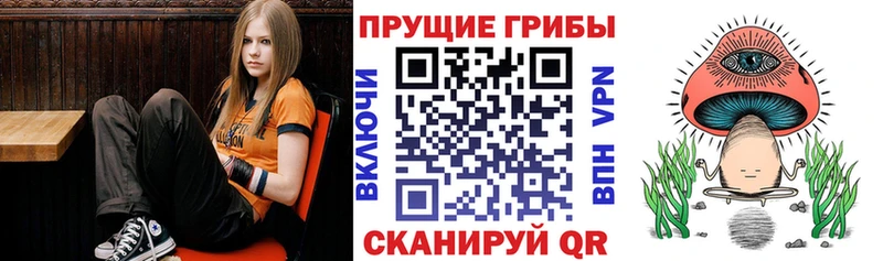 где найти   hydra зеркало  Псилоцибиновые грибы MAGIC MUSHROOMS  Белебей 