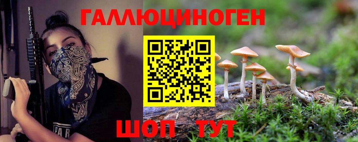 Псилоцибиновые грибы Psilocybine cubensis  Галлюциногенные грибы Cubensis  Белебей  Вход с VPN 