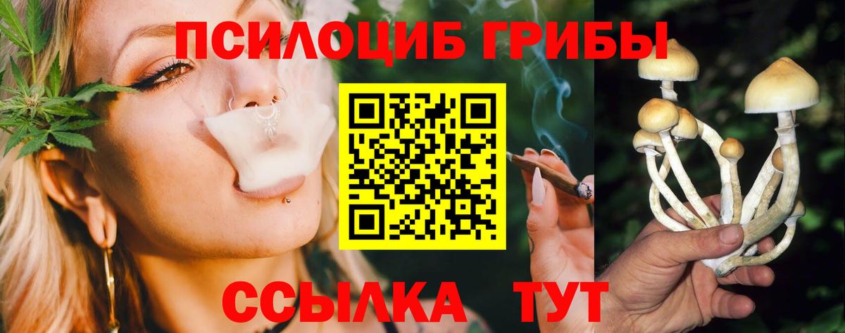 Галлюциногенные грибы прущие грибы Белебей