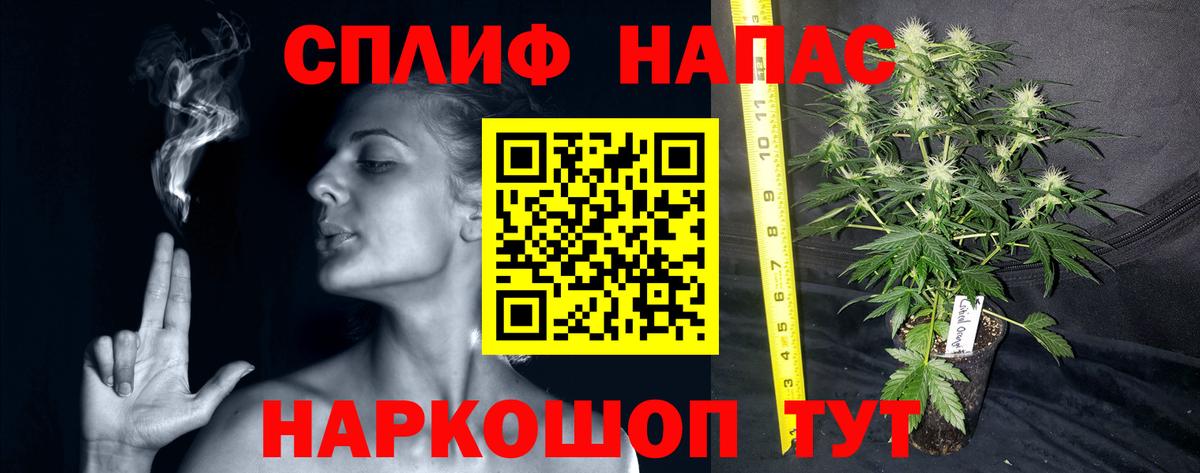 Шишки марихуана ГИДРОПОН  МАРИХУАНА Amnesia  Белебей  Каннабис планчик 